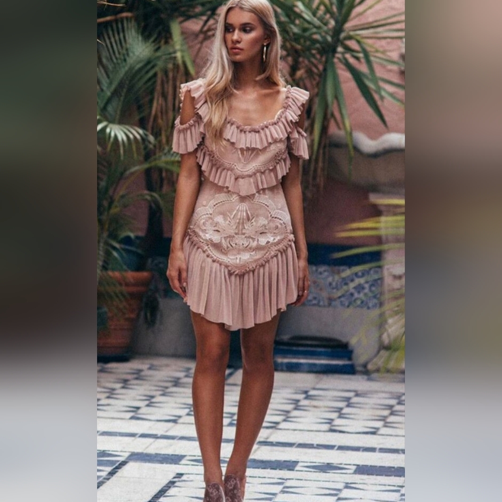 Alice McCall Lovebirds Blush Lace Mini Dress